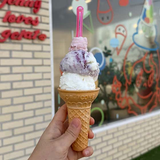 젤라또콘 메뉴 사진(네이버)