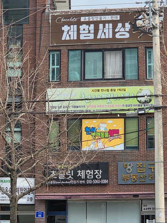 천사펫시티
