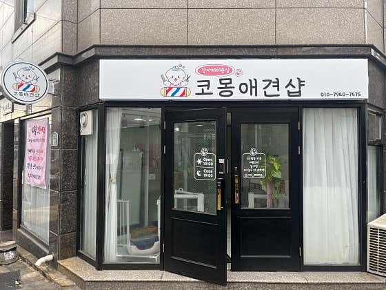 코몽애견샵 · 네이버 지도·플레이스 2