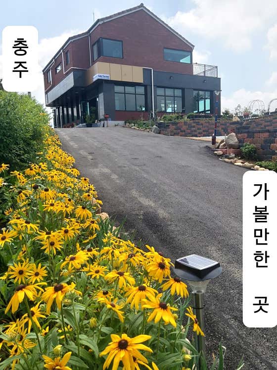 카페더힐
