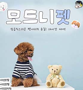 모드니펫&모드니몽 대표이미지