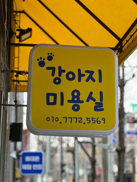 강아지미용실