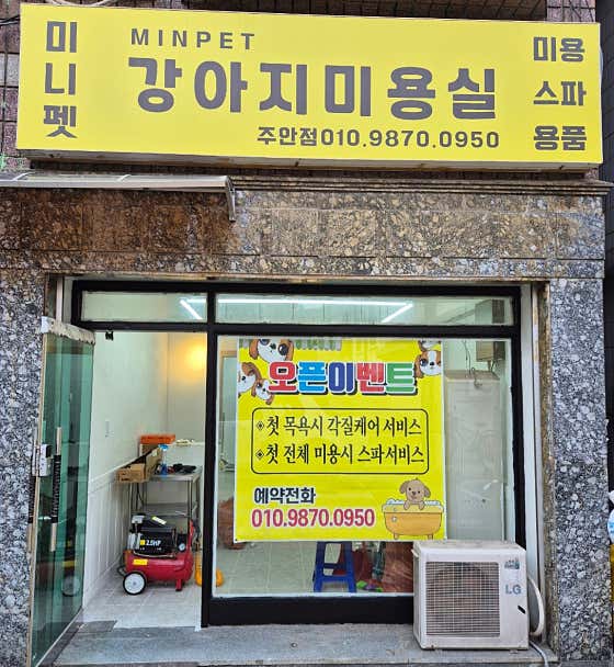 미니펫 주안점