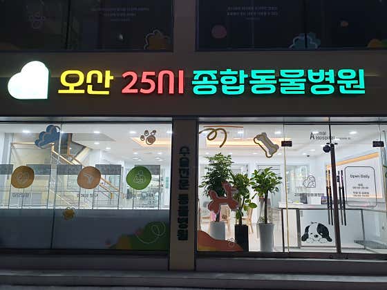 25시 종합동물병원