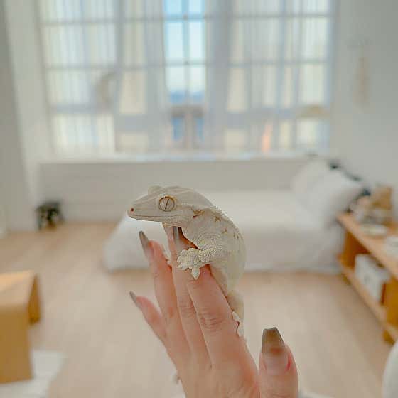 야야랜드 · 네이버 지도·플레이스 9