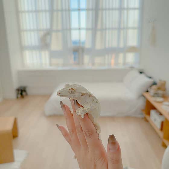 야야랜드 · 네이버 지도·플레이스 8
