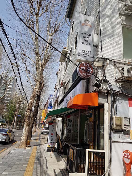 깐쵸네애견호텔 · 네이버 지도·플레이스 4