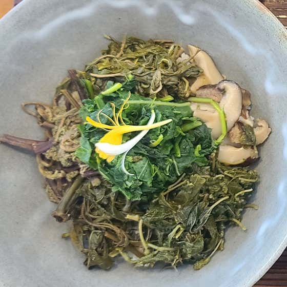 지리산산나물 모담산