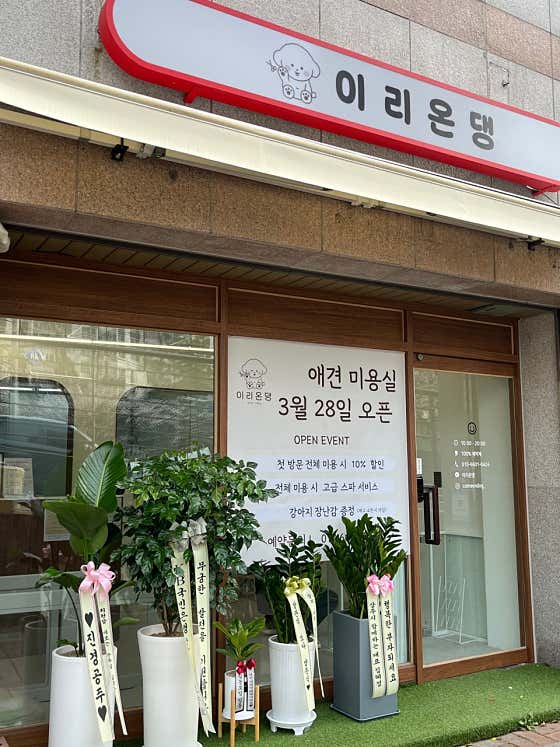 이리온댕 · 네이버 지도·플레이스 5