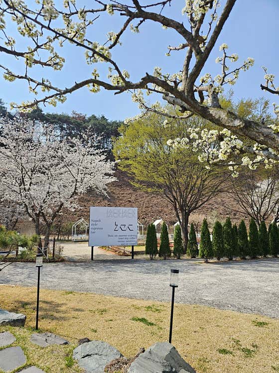 짹짹커피 함안점 · 네이버 지도·플레이스 5