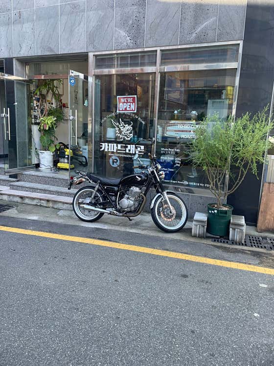 카파드래곤 · 네이버 지도·플레이스 2