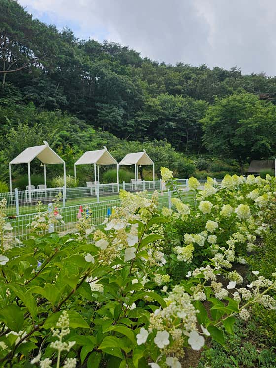짹짹커피 함안점 · 네이버 지도·플레이스 7