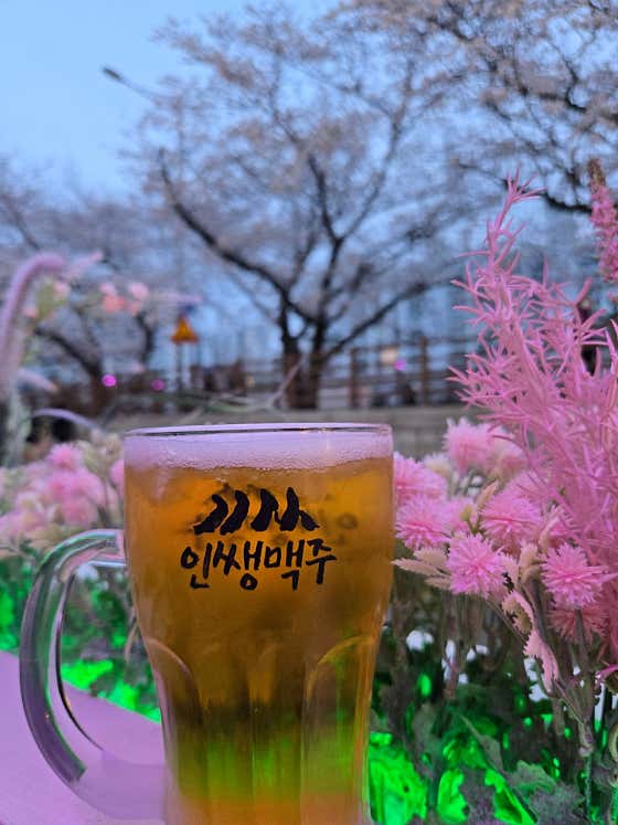 인쌩맥주 부산온천천점 · 네이버 지도·플레이스 8