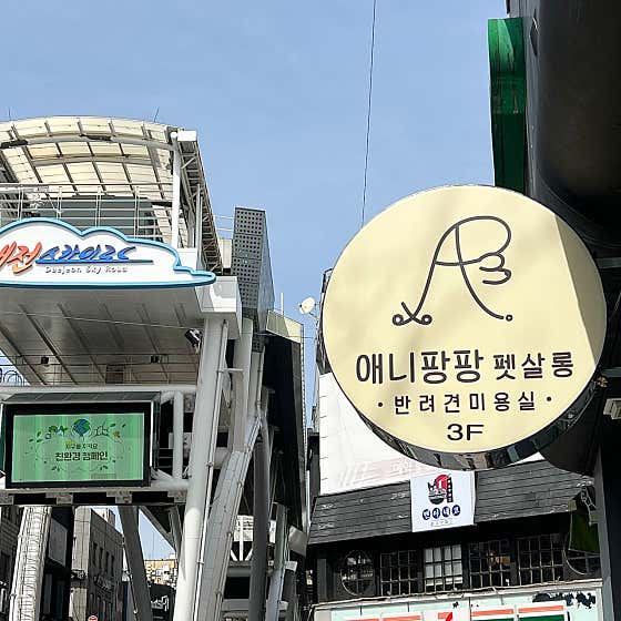 애니팡팡 펫살롱 · 네이버 지도·플레이스 2