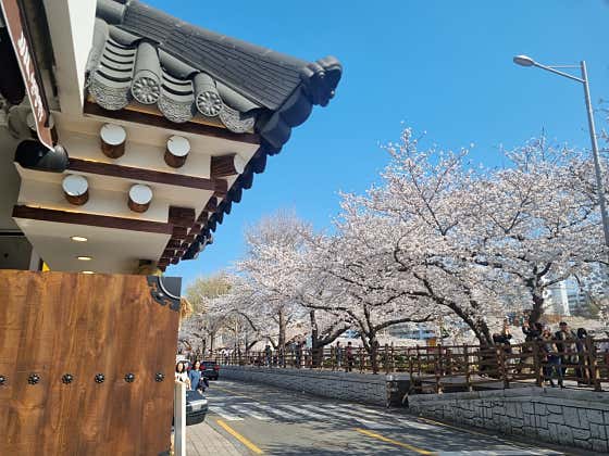인쌩맥주 부산온천천점 · 네이버 지도·플레이스 7