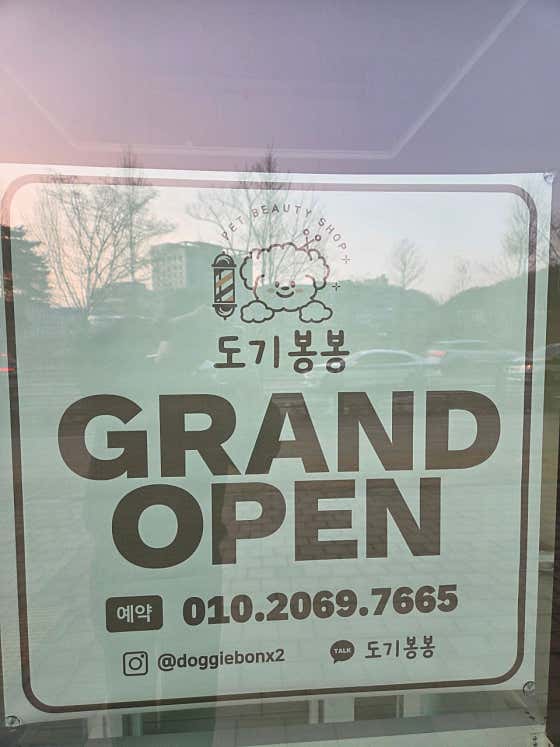 도기봉봉 · 네이버 지도·플레이스 9