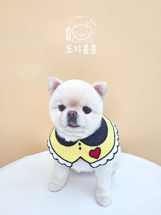 도기봉봉 · 네이버 지도·플레이스 2