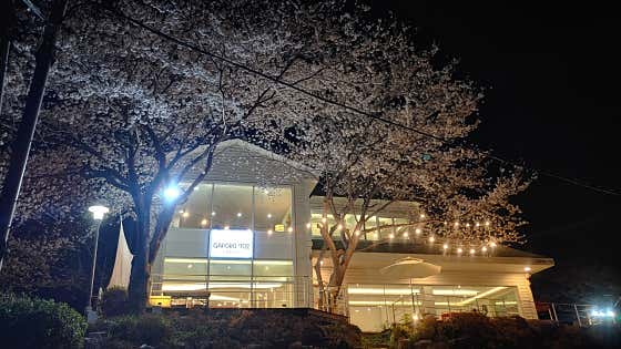 카페가포로702 · 네이버 지도·플레이스 1