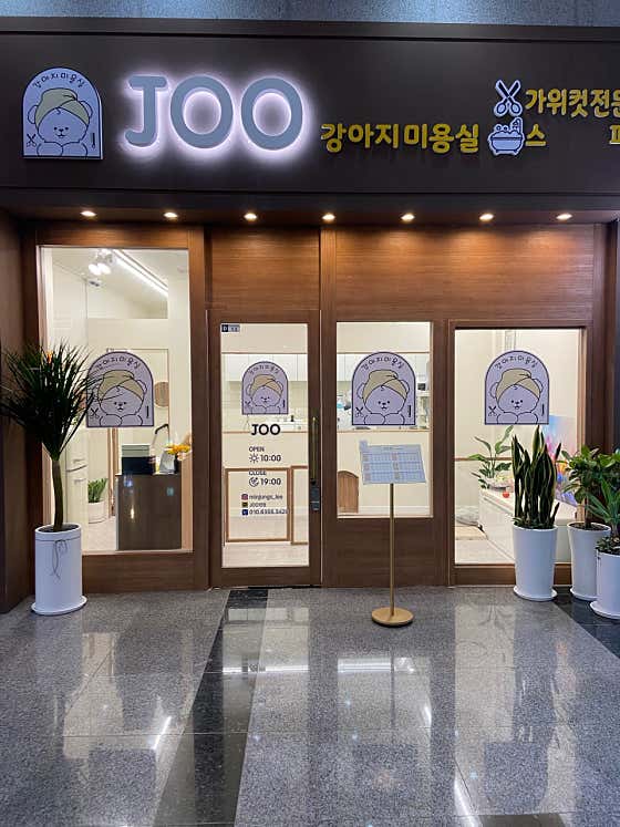 주강아지 미용실 · 네이버 지도·플레이스 2
