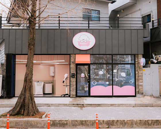 댓거리애견미용실 버블리 · 네이버 지도·플레이스 2