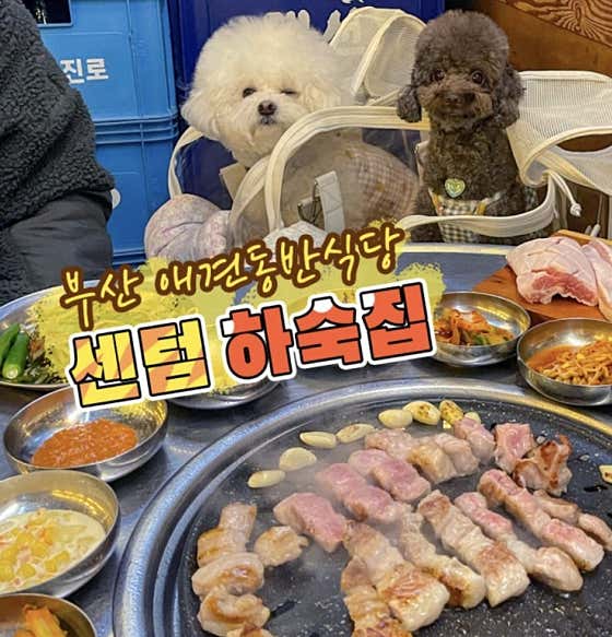 하숙집 센텀본점 · 네이버 지도·플레이스 8