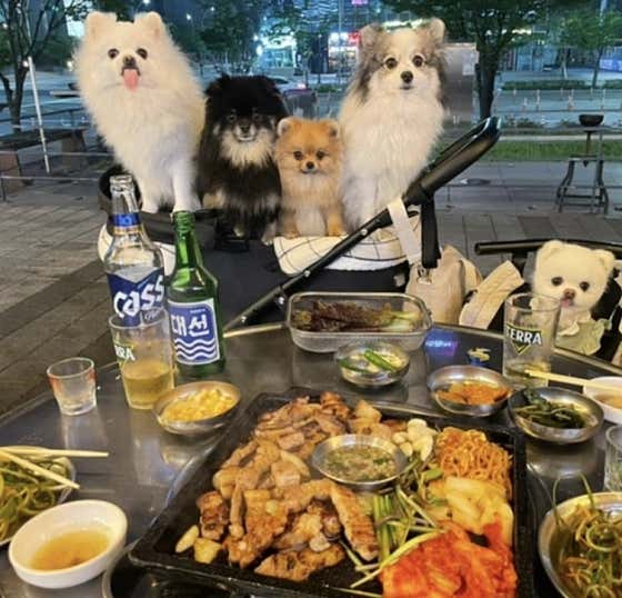 하숙집 센텀본점 · 네이버 지도·플레이스 9