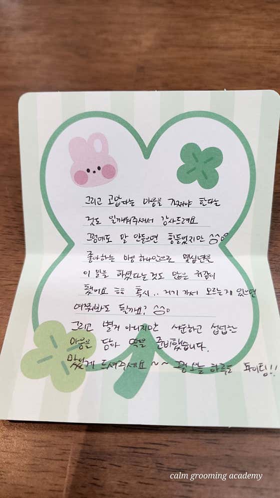캄애견미용학원 성서이곡점 · 네이버 지도·플레이스 4