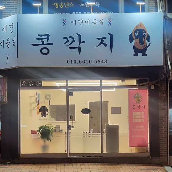 콩깍지 · 네이버 지도·플레이스 2