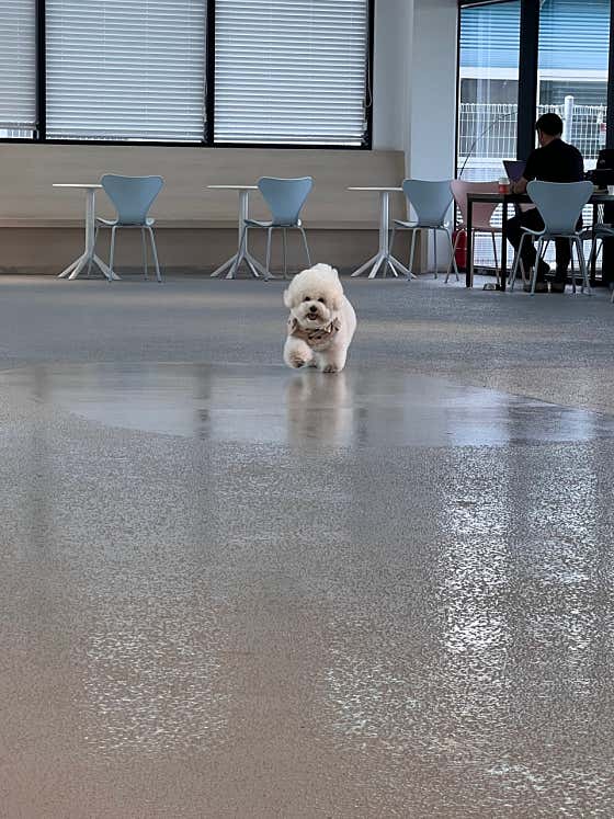 멍디브 · 네이버 지도·플레이스 10