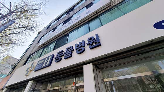 희망로H동물병원