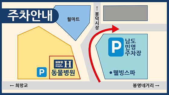 희망로H동물병원 · 네이버 지도·플레이스 4