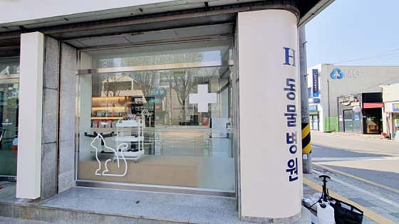 희망로H동물병원 · 네이버 지도·플레이스 3