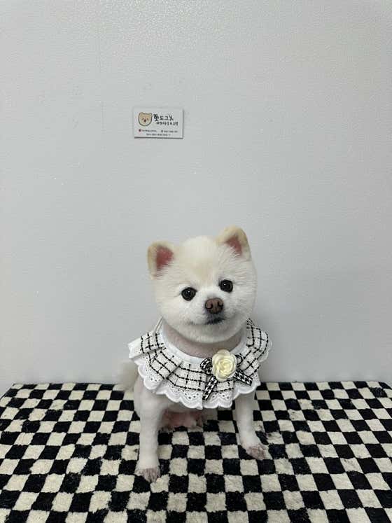 핫도그 · 네이버 지도·플레이스 3