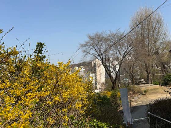 포레스트 하우스 · 네이버 지도·플레이스 9