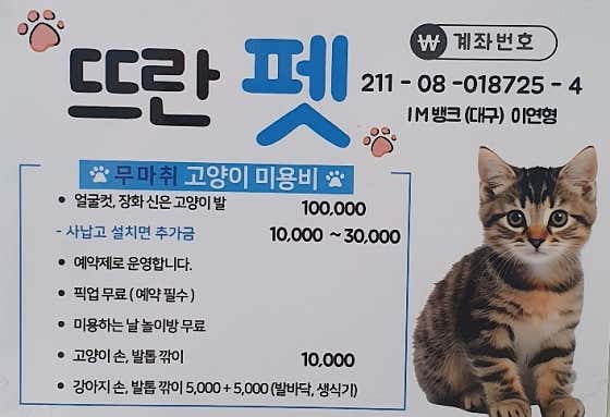 뜨란 멍&냥 · 네이버 지도·플레이스 3