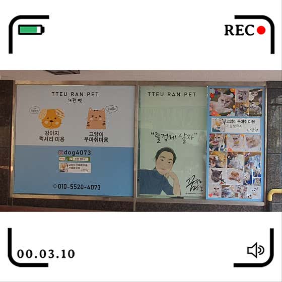 뜨란 멍&냥 · 네이버 지도·플레이스 4