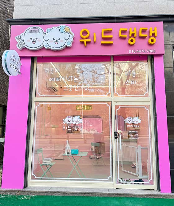 위드댕댕