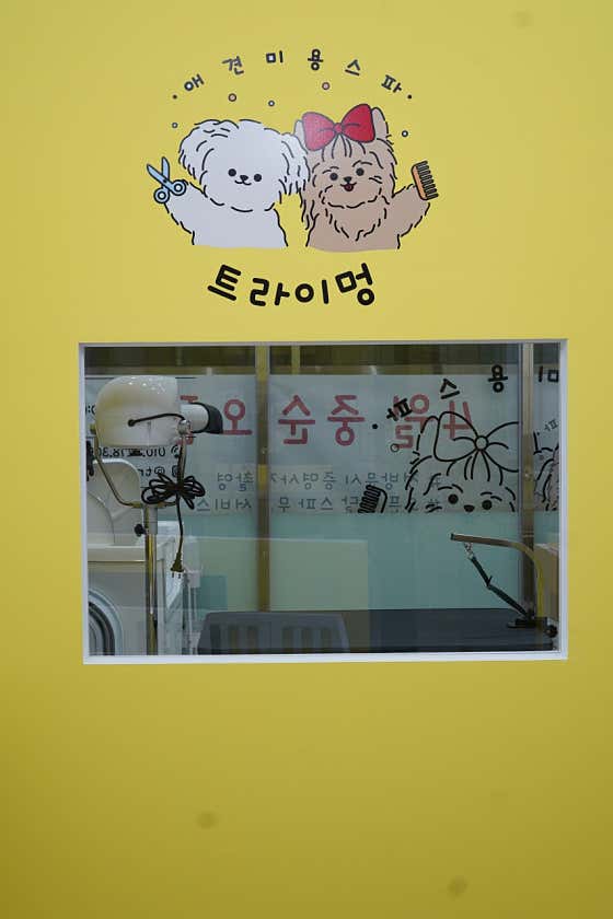 트라이멍 · 네이버 지도·플레이스 4