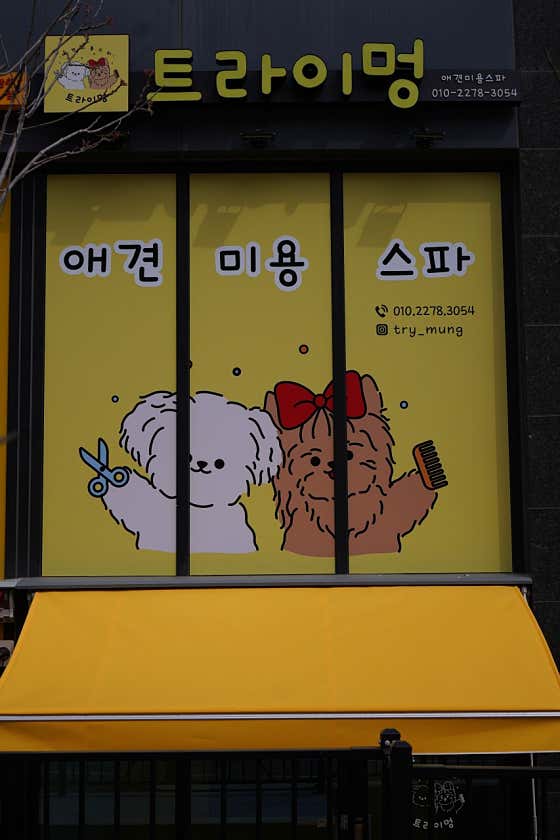 트라이멍 · 네이버 지도·플레이스 2