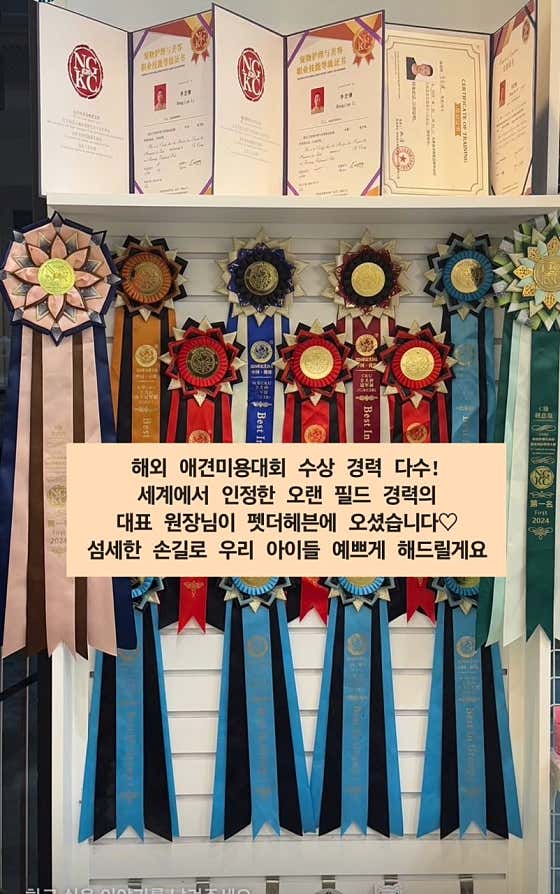 펫더헤븐 본점