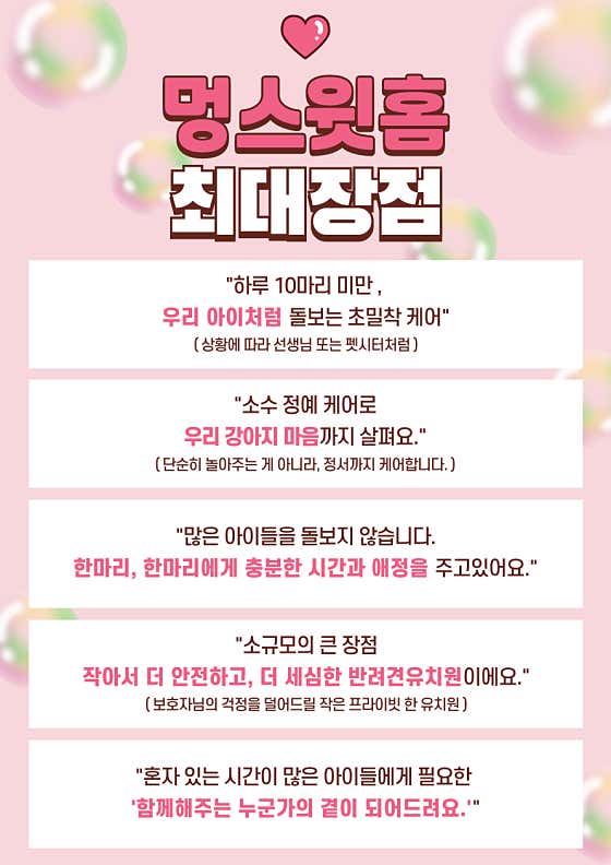 애견유치원&강아지놀이방 멍스윗홈 · 네이버 지도·플레이스 2