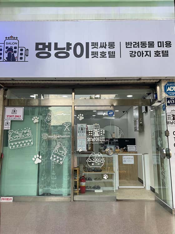 멍냥이펫싸롱,펫호텔 애견미용.애견호텔 · 네이버 지도·플레이스 4