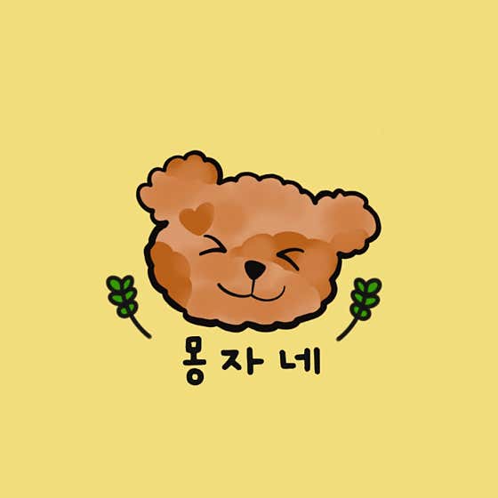 애견미용실 몽자네
