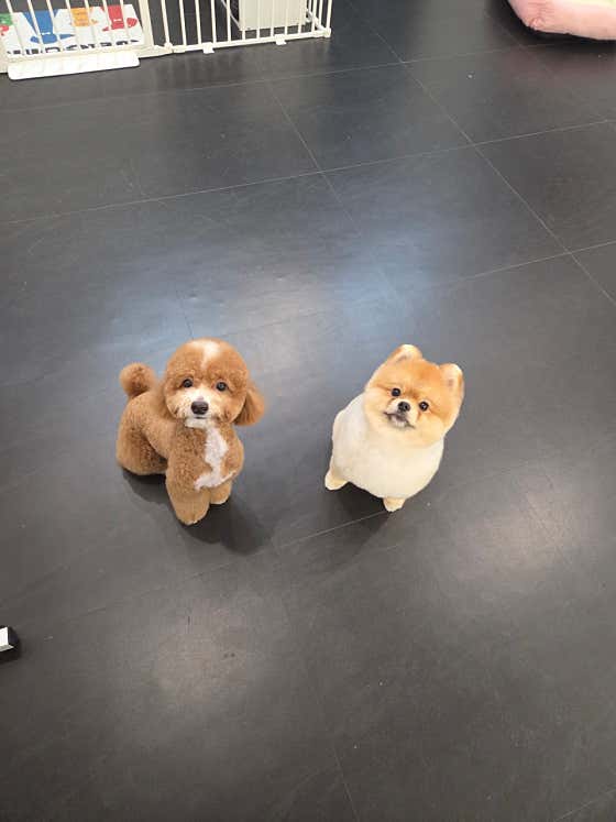 몽드살롱 · 네이버 지도·플레이스 3