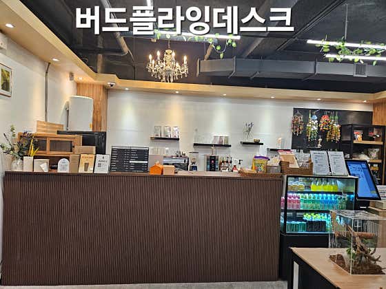 버드플라잉&뉴런렙시티 · 네이버 지도·플레이스 2