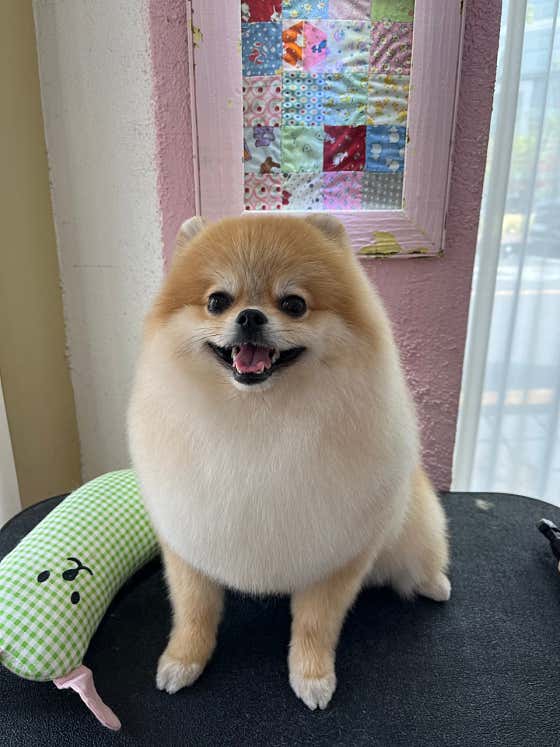 짱짱이네 · 네이버 지도·플레이스 5