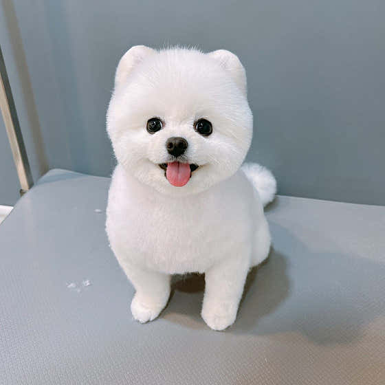 멍블리 · 네이버 지도·플레이스 3