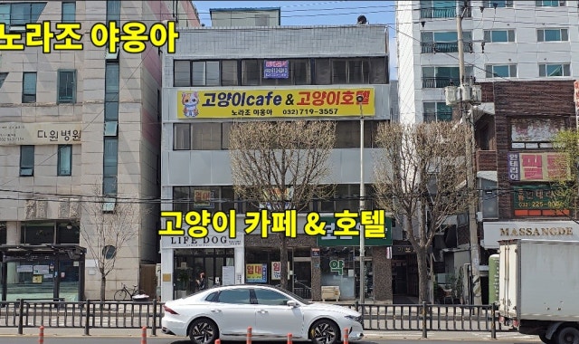 노라조야옹아 대표 사진
