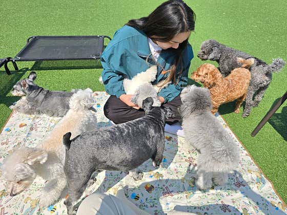 무럭무럭자라개 · 네이버 지도·플레이스 7