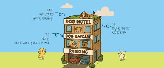 스카이개슬 · 네이버 지도·플레이스 2